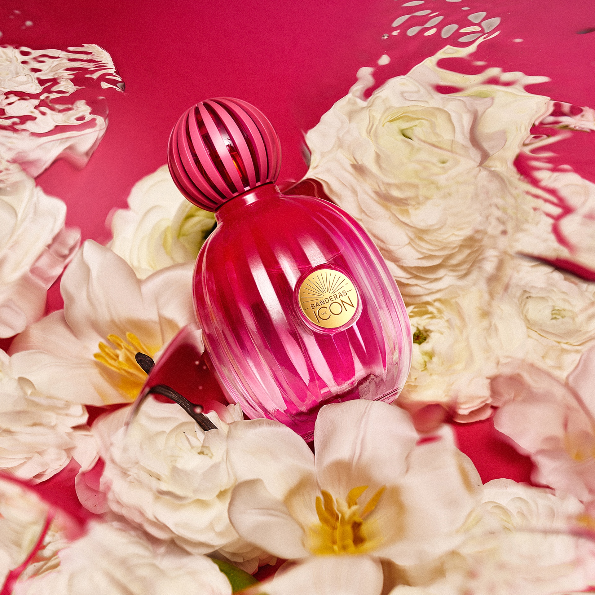 The Icon Парфюмерная вода купить в VISAGEHALL