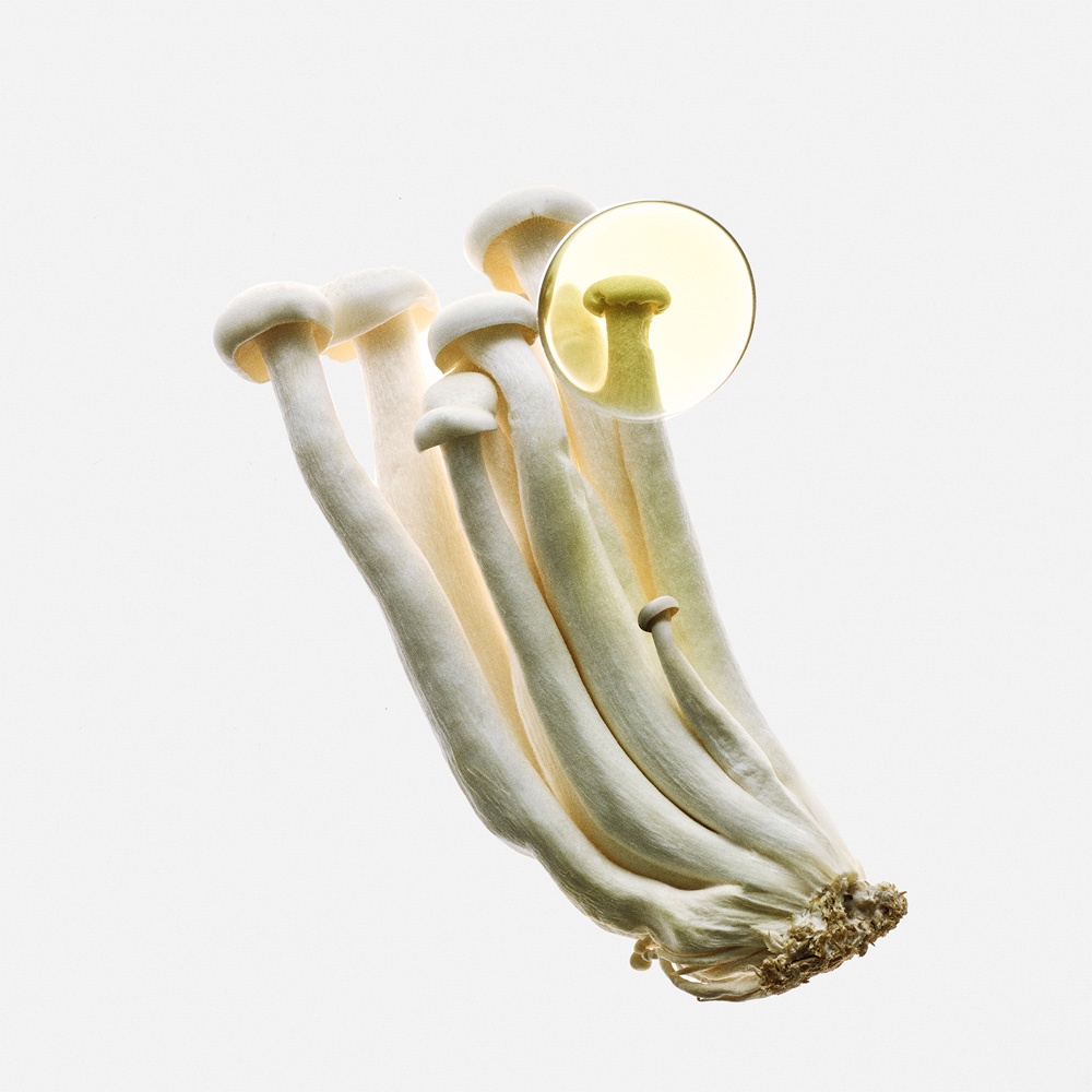 Earth Elixir Парфюмерная вода купить в VISAGEHALL