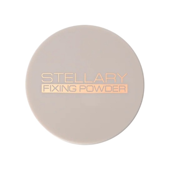 Пудра рассыпчатая фиксирующая Perfect matte fixing powder