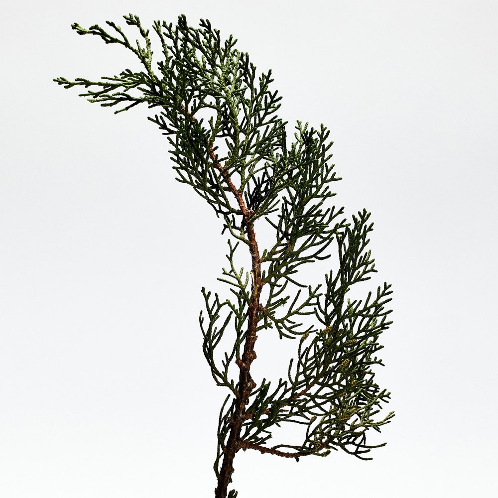 001 Man Парфюмерная вода купить в VISAGEHALL