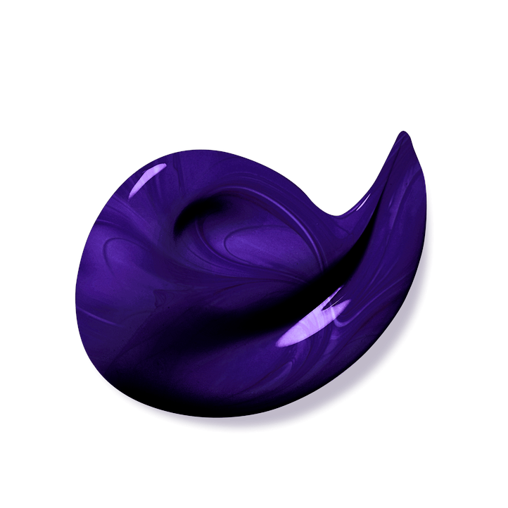 Шампунь для волос Фиолетовый Elseve Эксперт Цвета 200мл  VISAGEHALL