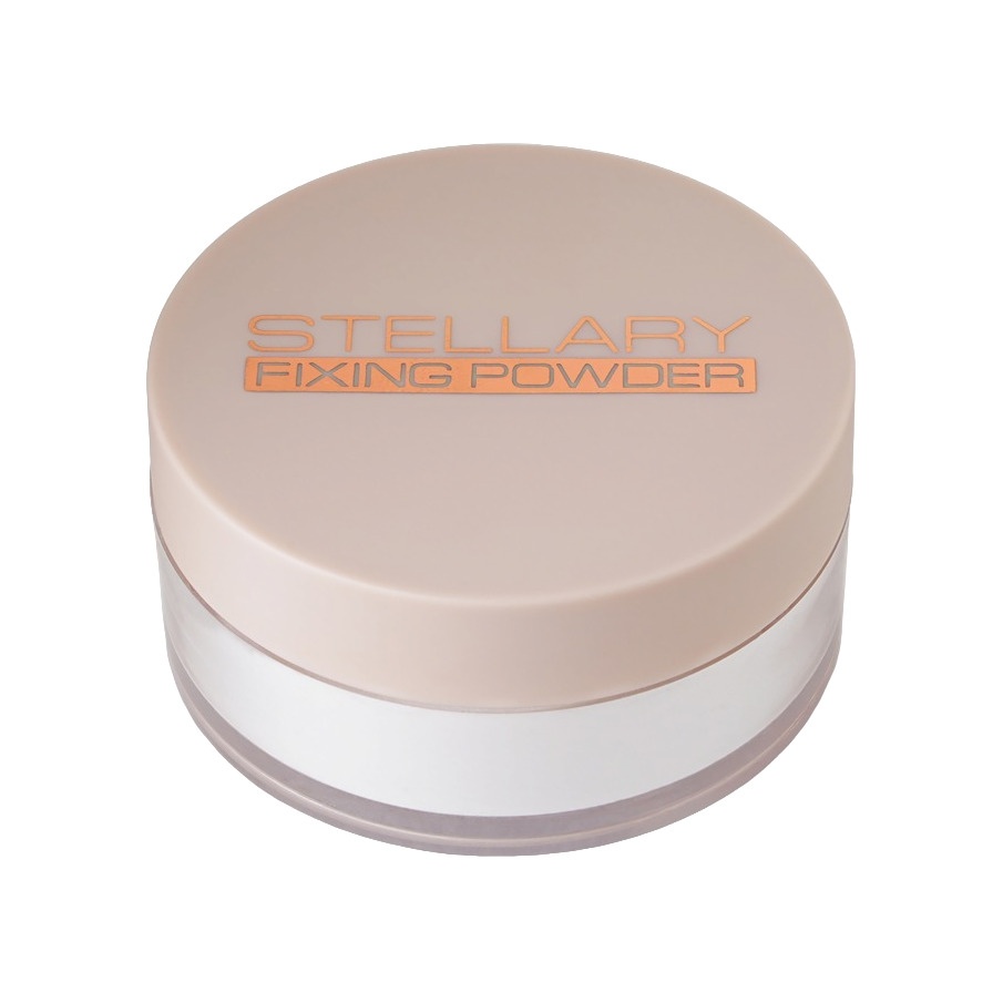 Пудра рассыпчатая фиксирующая Perfect matte fixing powder купить в VISAGEHALL