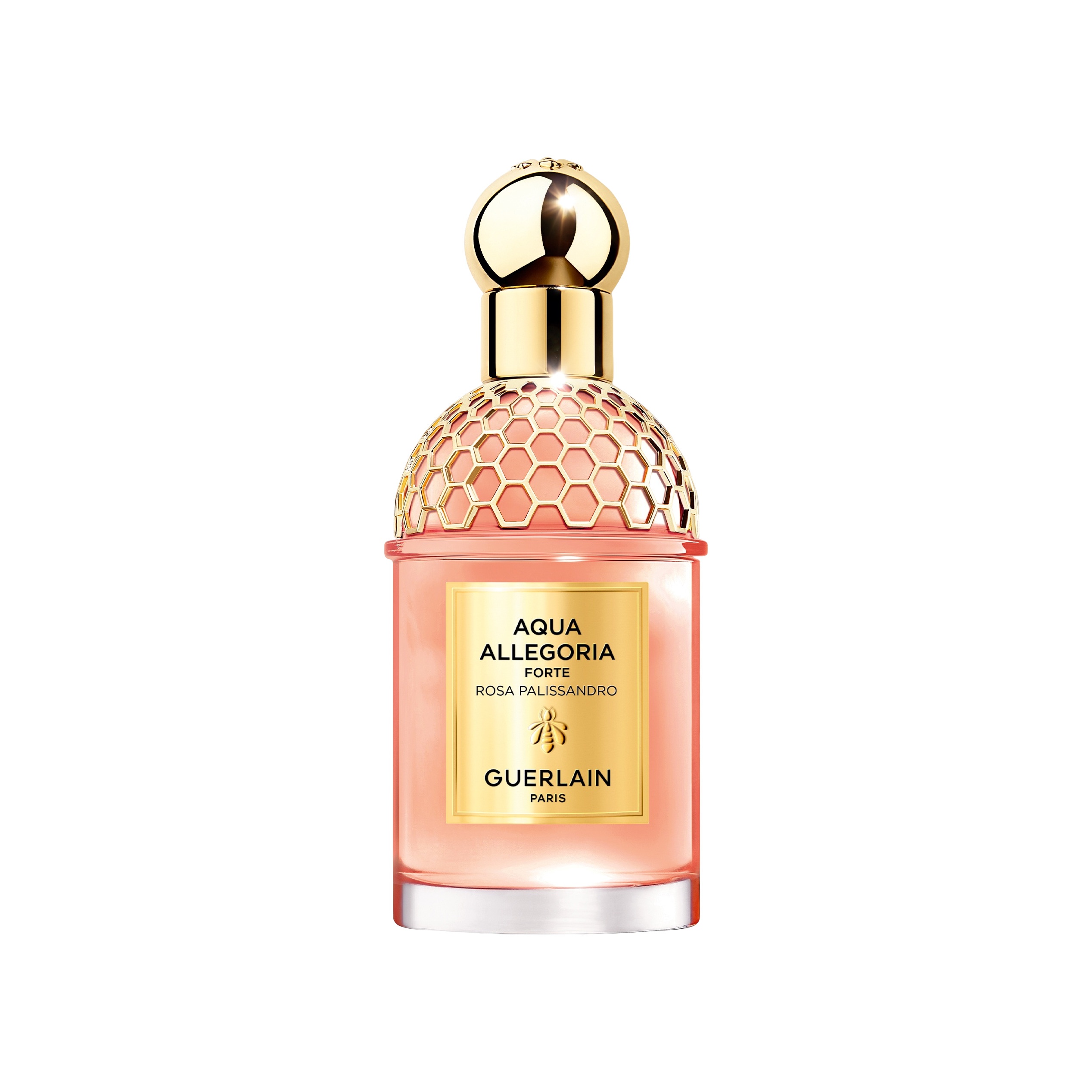 Aqua Allegoria Forte Rosa Palissandro Парфюмерная вода  купить в VISAGEHALL