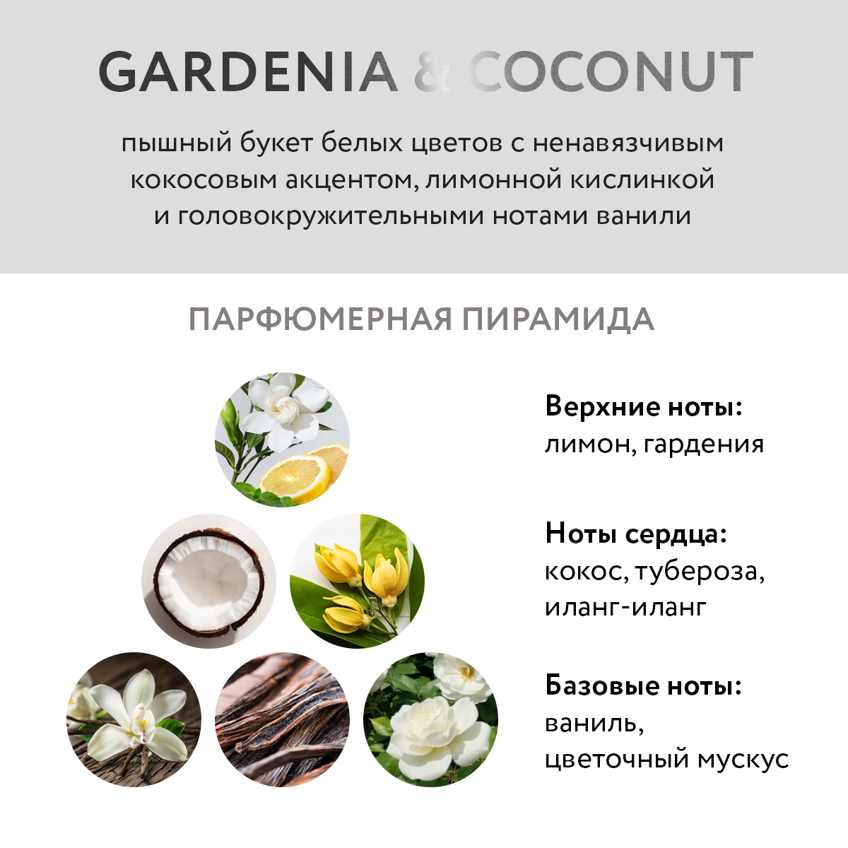 Гель для душа увлажняющий Gardenia&Coconut купить в VISAGEHALL