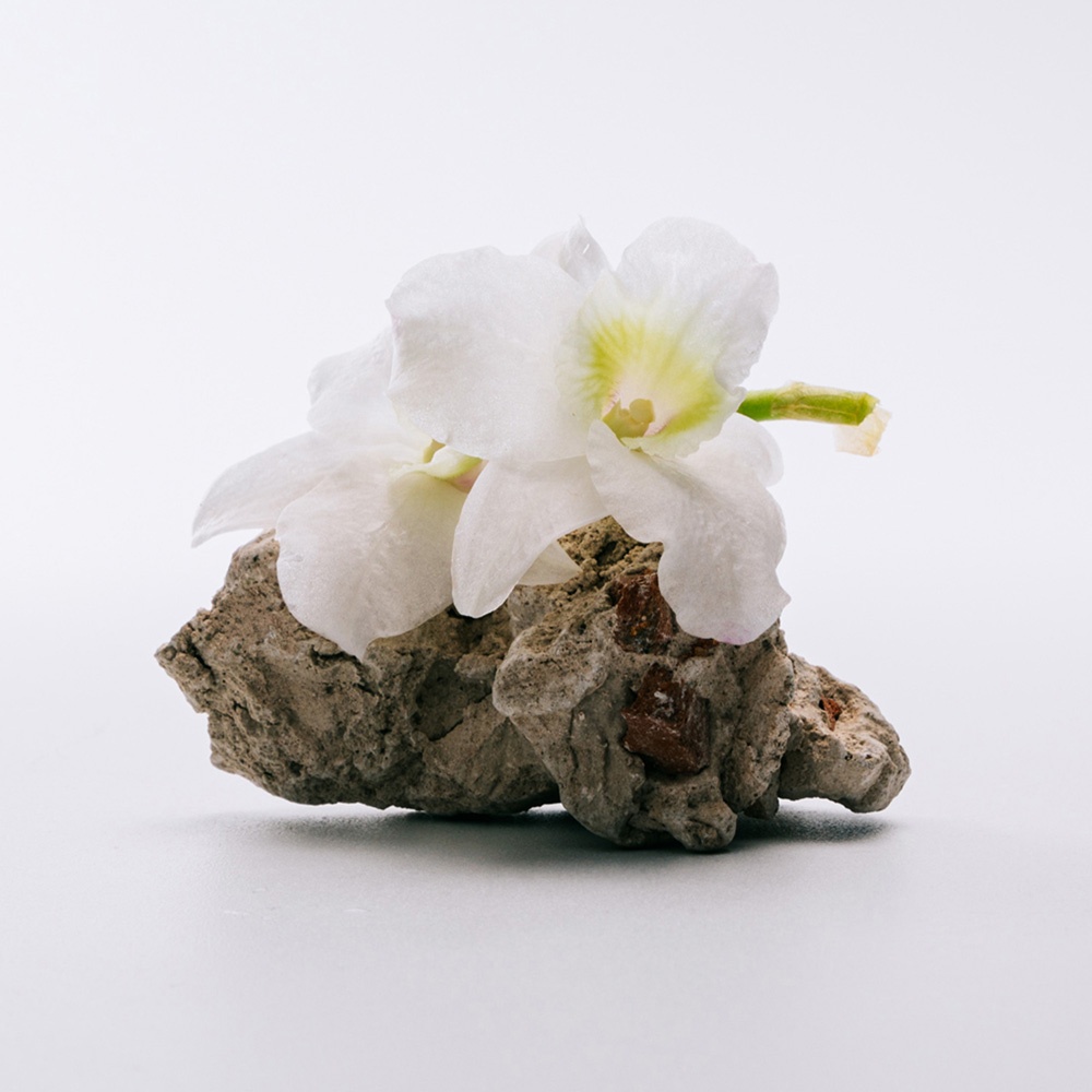 A Mi Aire Туалетная вода купить в VISAGEHALL