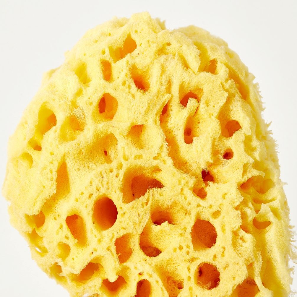 Губка натуральная №8 Honey Comb купить в VISAGEHALL