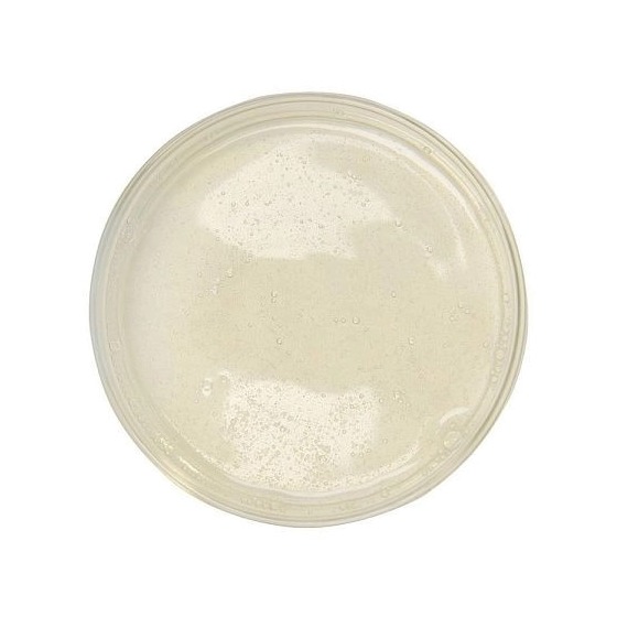 Гель для умывания с салициловой кислотой и цинком Sebo Renewal купить в VISAGEHALL