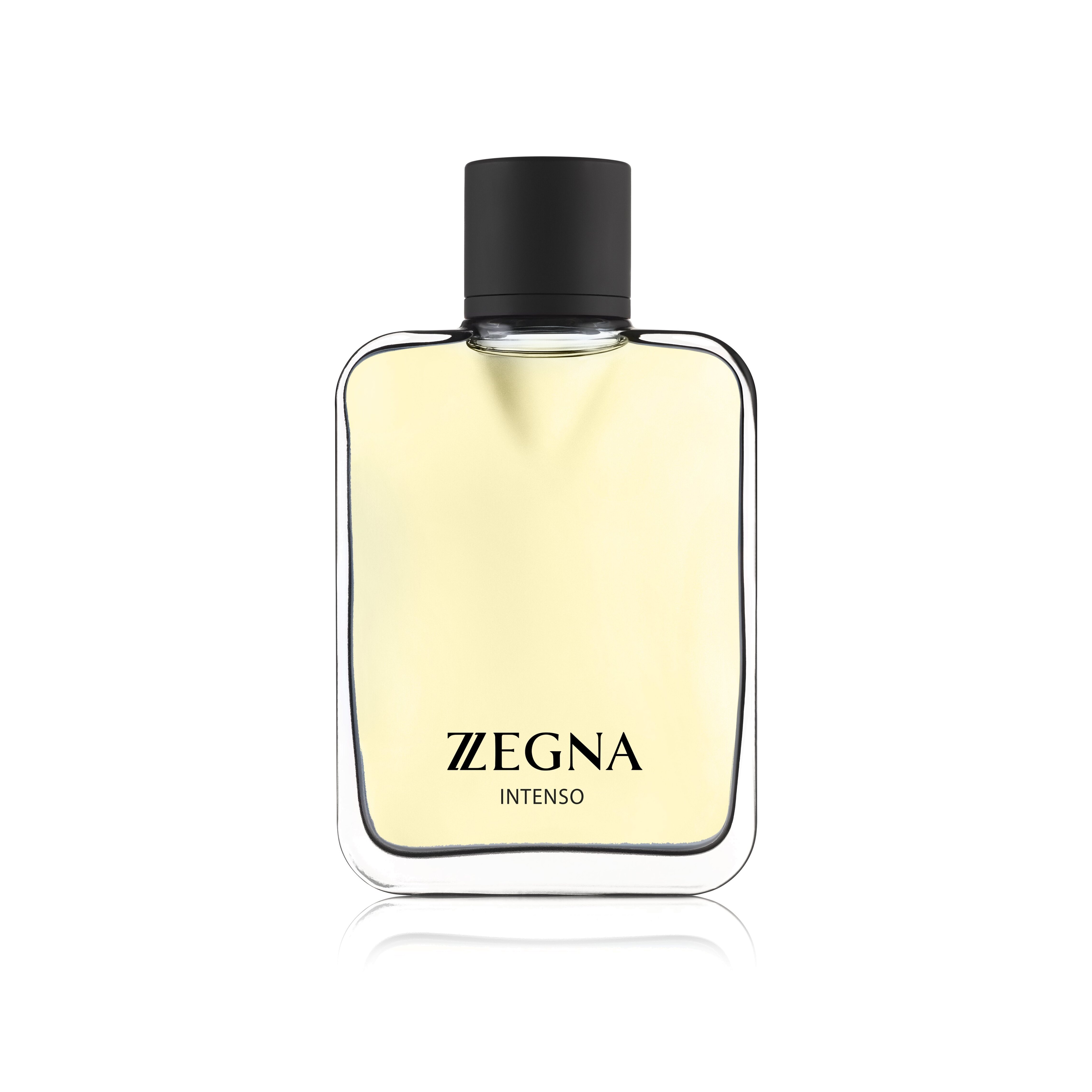 Z Zegna Intenso Туалетная вода магазин VISAGEHALL являющийся официальным дистрибьютором в России