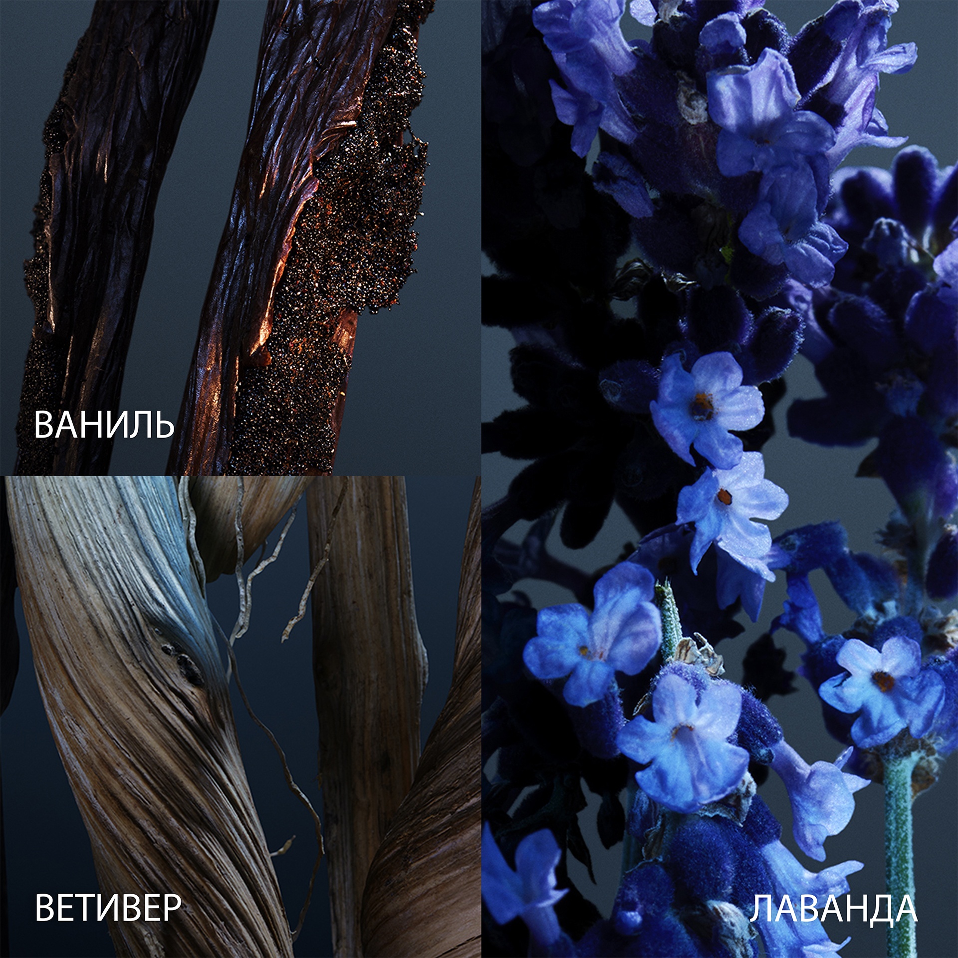 Phantom Parfum Духи-спрей купить в VISAGEHALL