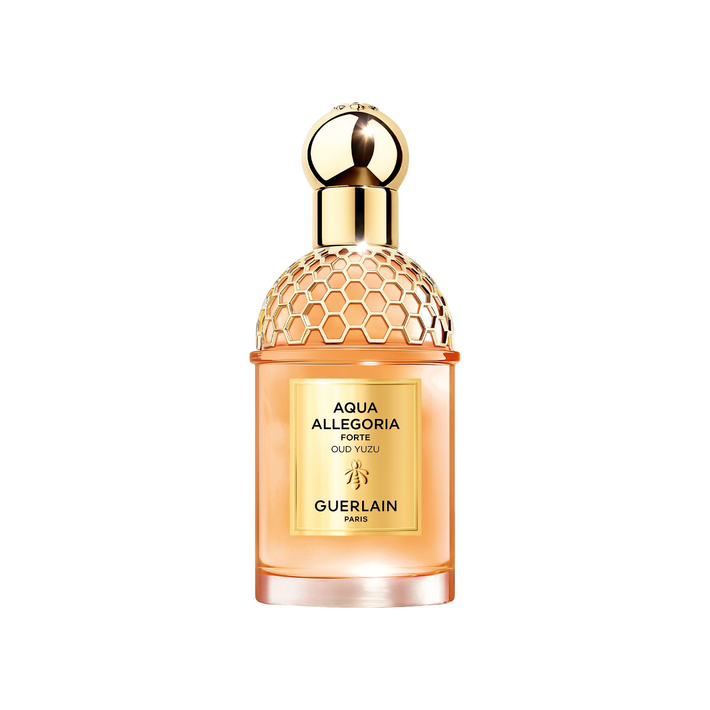 Aqua Allegoria Forte Oud Yuzu Парфюмерная вода  купить в VISAGEHALL