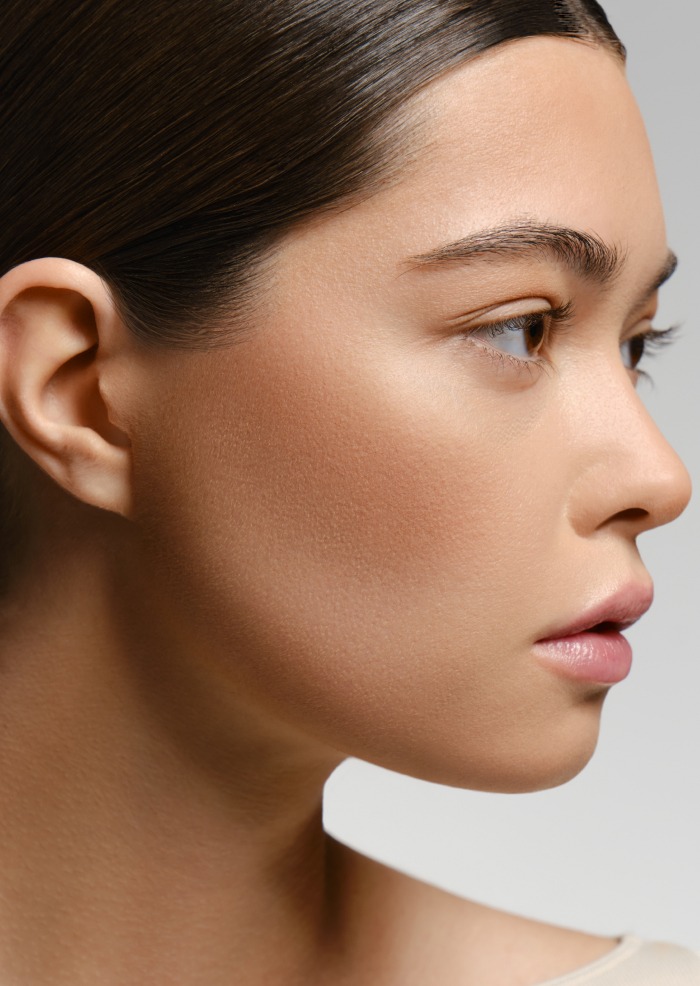 Бронзер для лица запеченный Perfect bronzer купить в VISAGEHALL