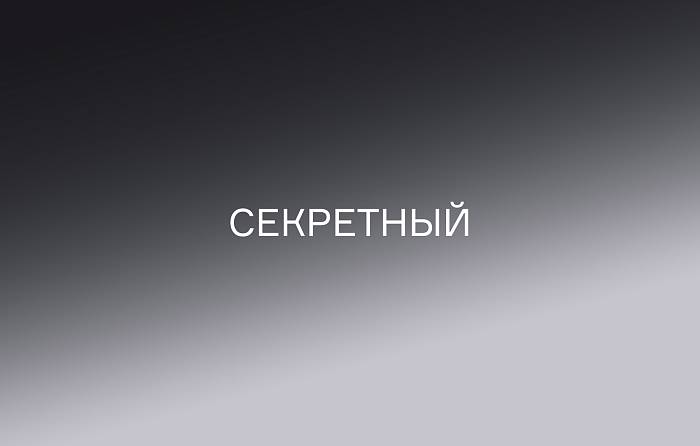 Секретный бонус 