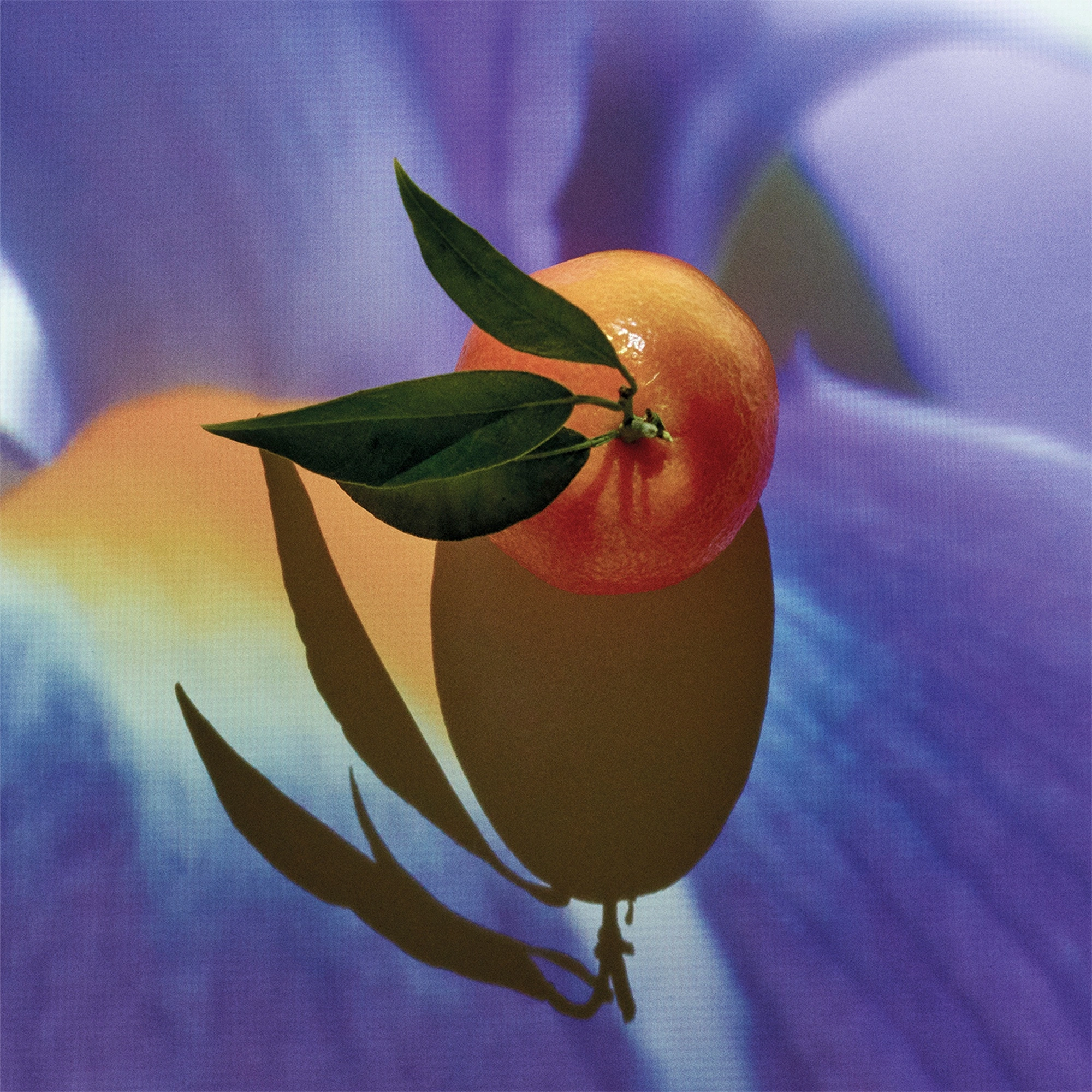 Loewe Solo Elixir Парфюмерная вода купить в VISAGEHALL