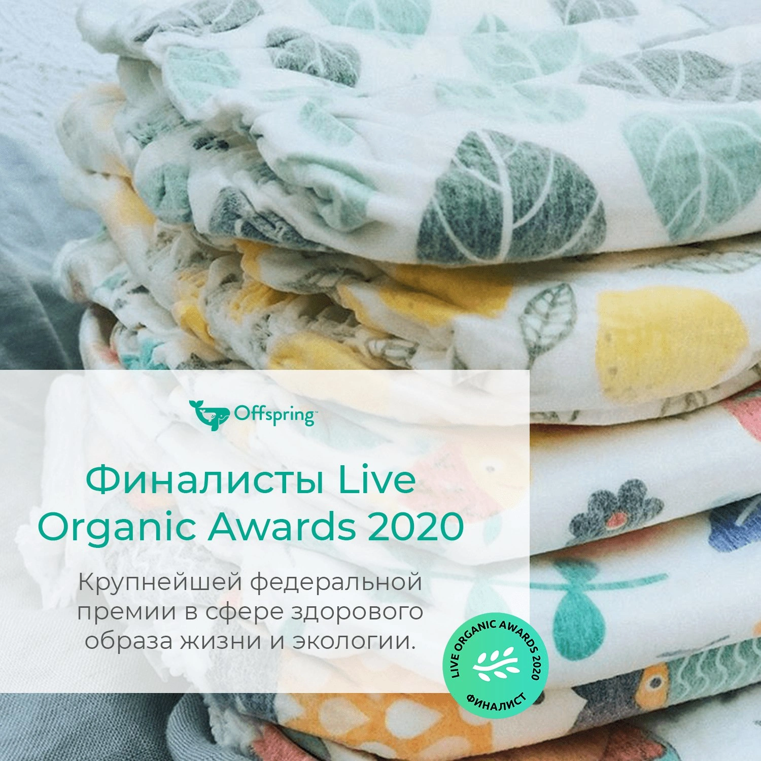 Подгузники Киви M 6-10 кг 42 шт купить в VISAGEHALL