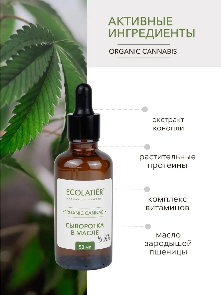 Сыворотка в масле для лица Green Cannabia Oil купить в VISAGEHALL