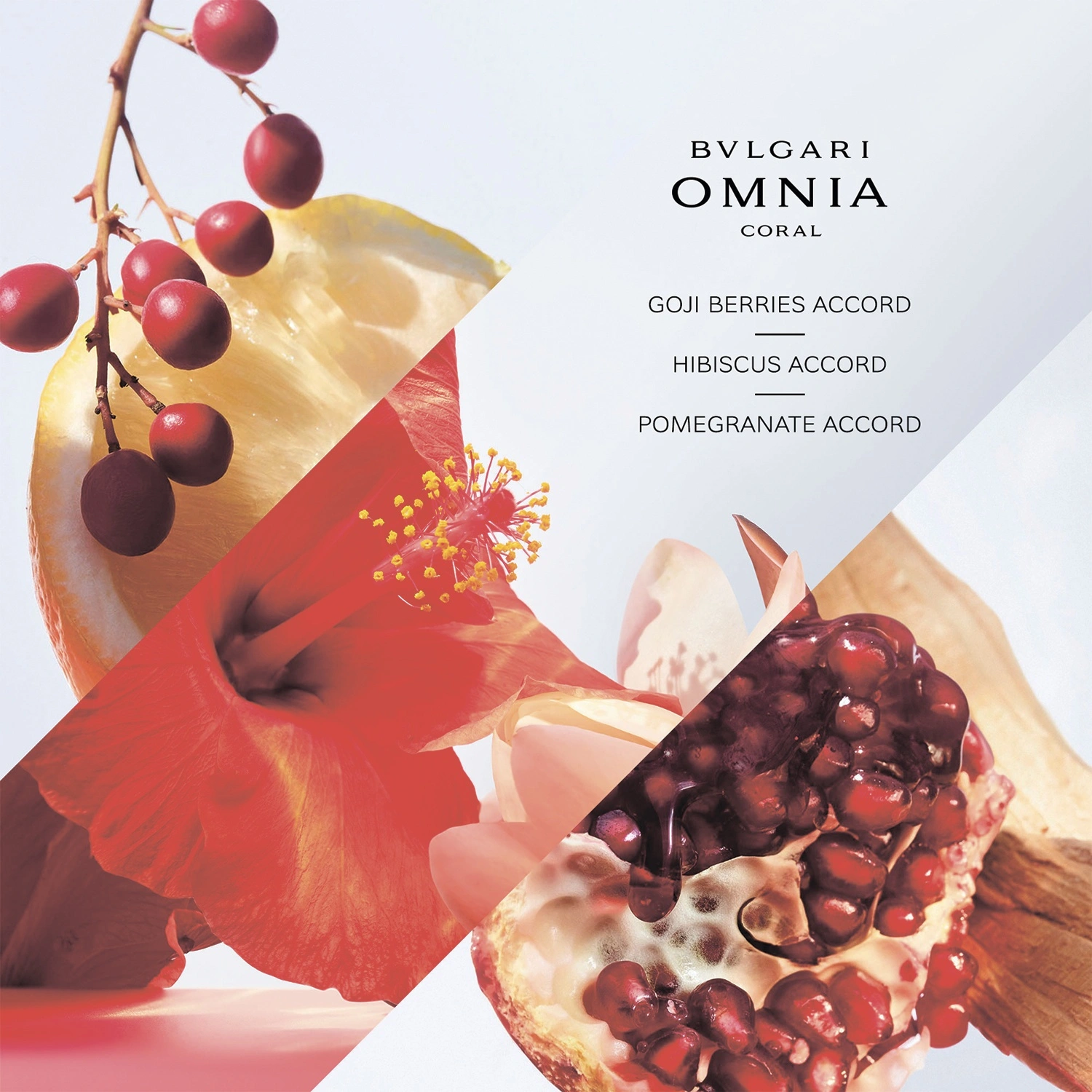 Bvlgari omnia 40ml price best sale