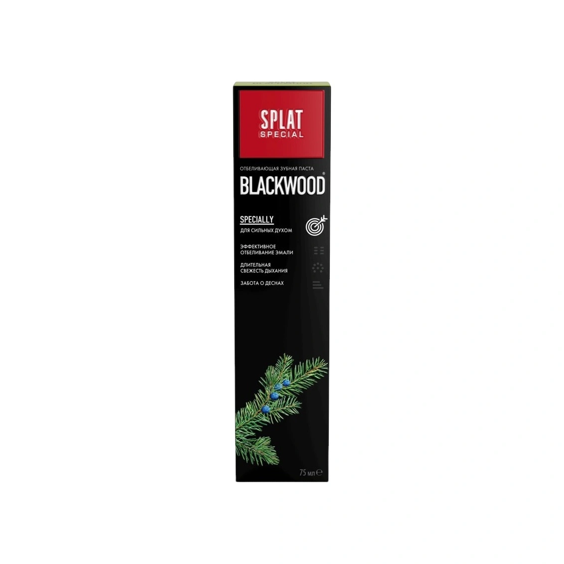 Зубная паста Black Wood купить в VISAGEHALL