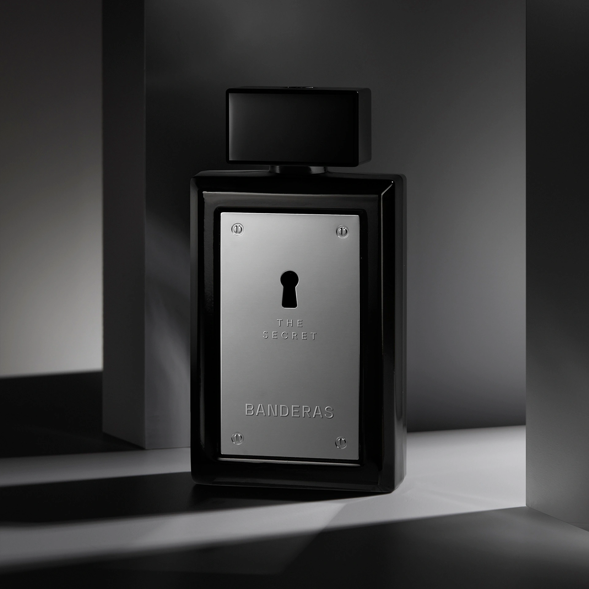 The Secret homme Туалетная вода купить в VISAGEHALL
