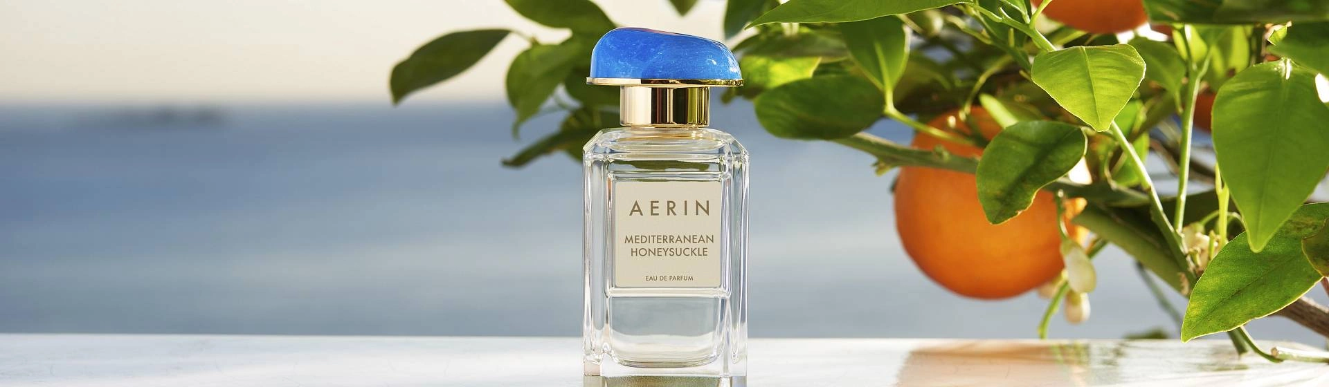 Aerin VISAGEHALL