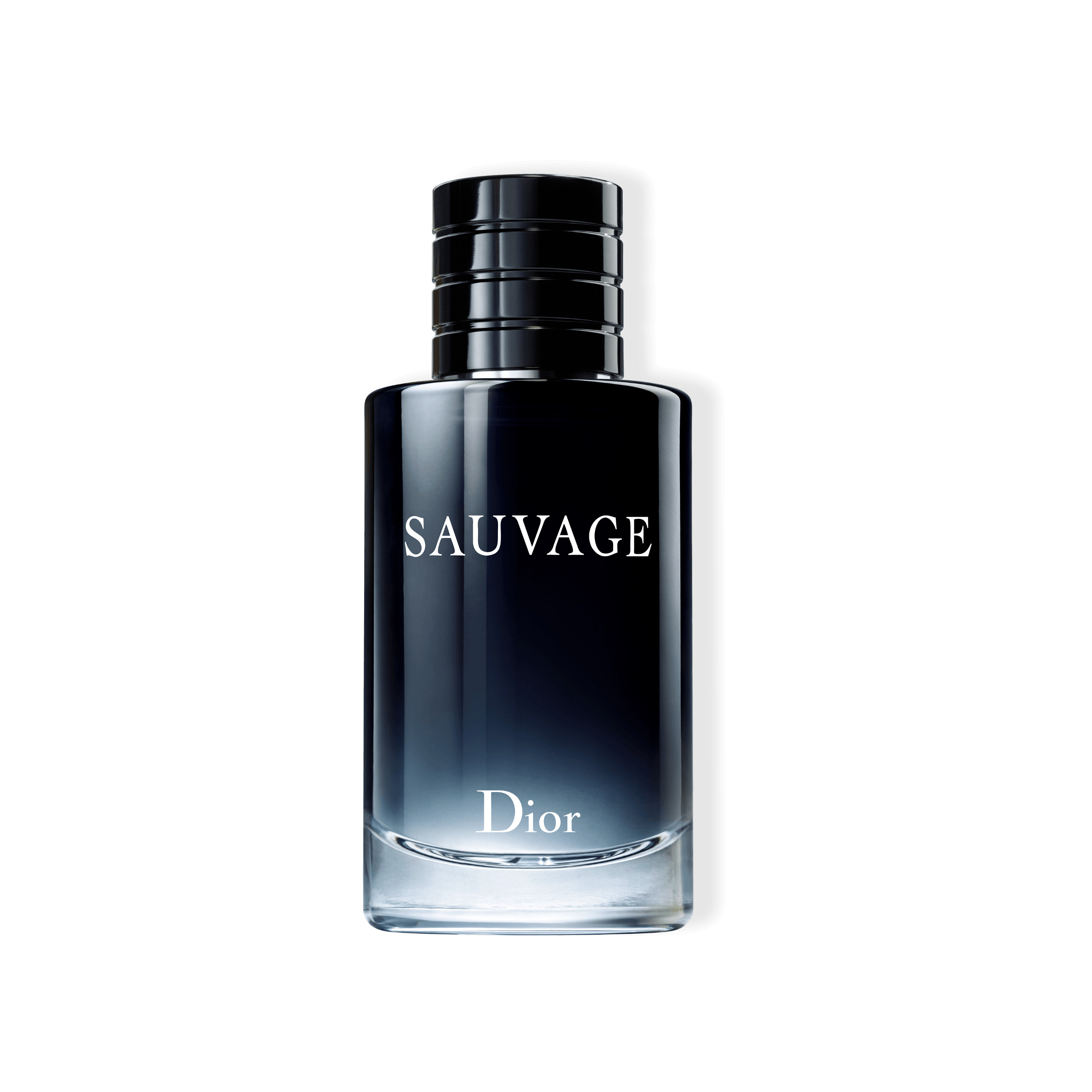 SAUVAGE~Туалетная вода магазин VISAGEHALL являющийся официальным дистрибьютором в России