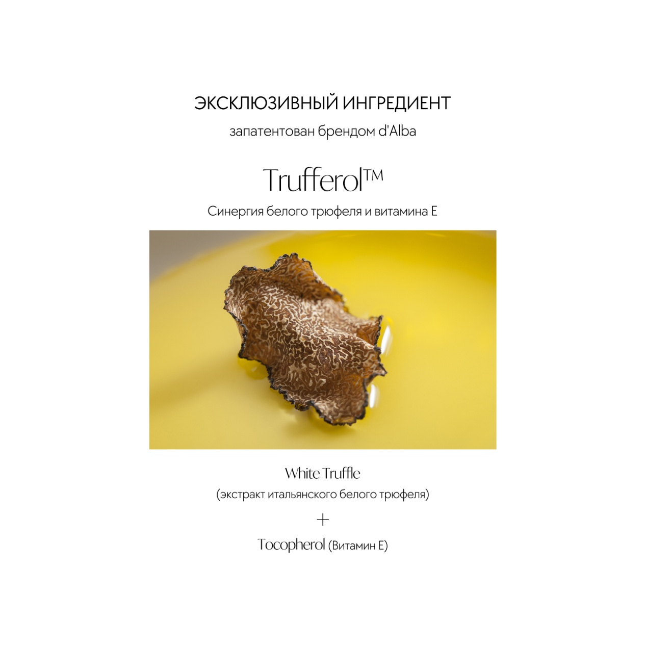 Сыворотка питательная White Truffle Intensive Vegan Ampoule купить в VISAGEHALL